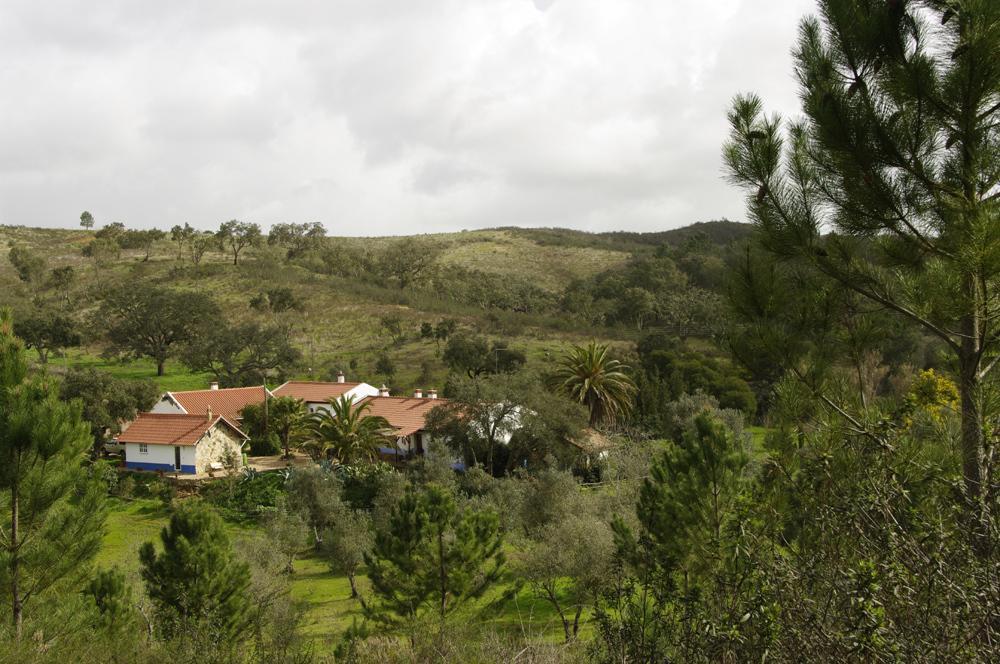 Monte Da Gravita Ribeira do Salto Oda fotoğraf
